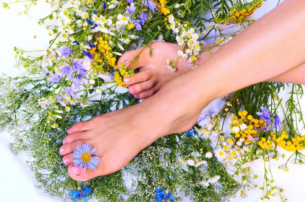 Varicose herbs